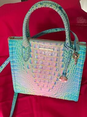 Brahmin Cotton Candy Ombré Leather Purse